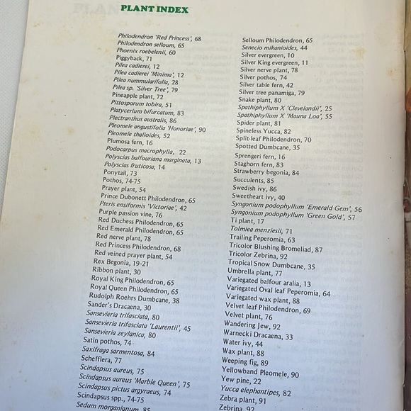 Professional Guide to Green Plants Houseplant guide - Picture 8 of 10